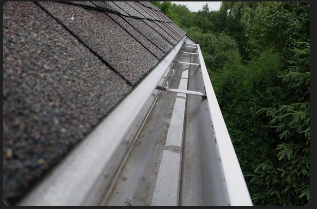 Roofline and gutter cleaned by Northpoint Exterior Care